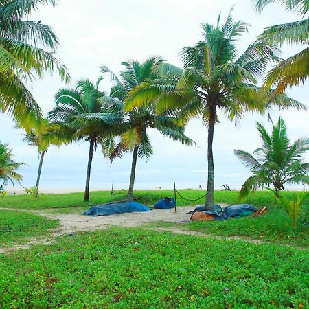 Marari Nest Beach Homestay Mararikulam Eksteriør billede