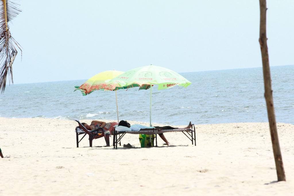 Marari Nest Beach Homestay Mararikulam Eksteriør billede