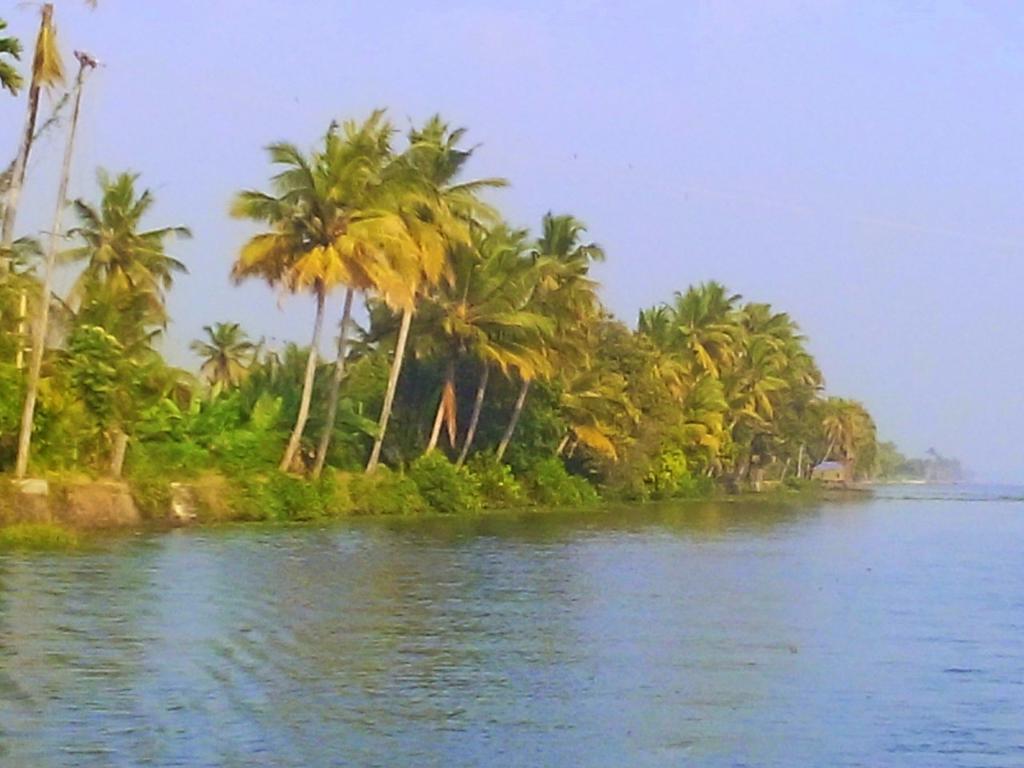Marari Nest Beach Homestay Mararikulam Eksteriør billede