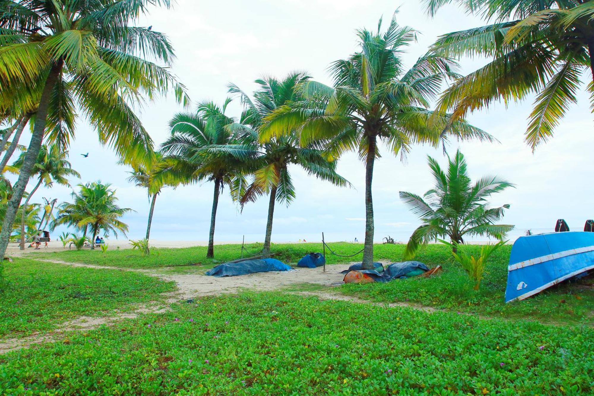 Marari Nest Beach Homestay Mararikulam Eksteriør billede