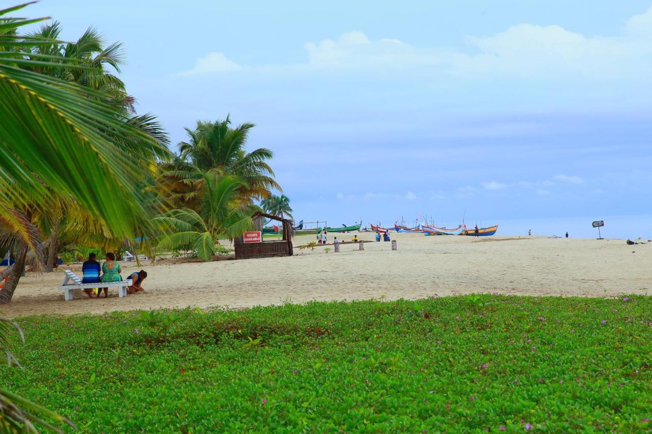 Marari Nest Beach Homestay Mararikulam Eksteriør billede
